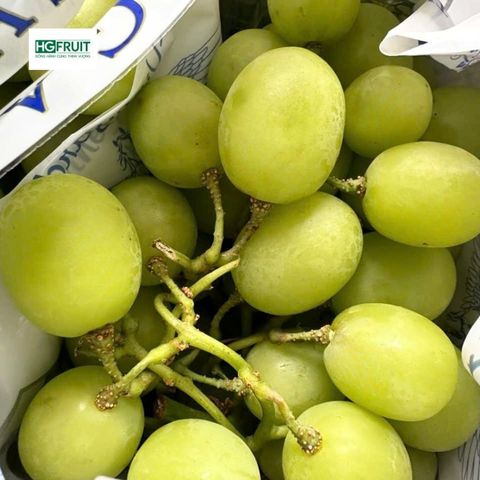  Nho Xanh Không Hạt Autumn Crisp Úc | Pegasus 