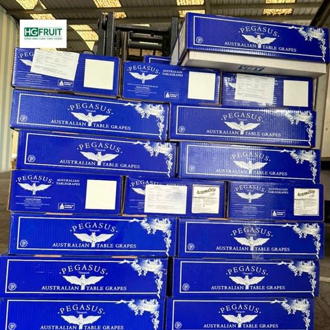  Nho Xanh Không Hạt Autumn Crisp Úc | Pegasus 