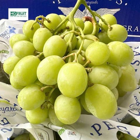  Nho Xanh Không Hạt Autumn Crisp Úc | Pegasus 