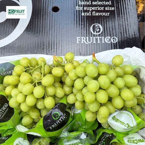  Nho Xanh Autumn Crisp Úc | Fruitico 