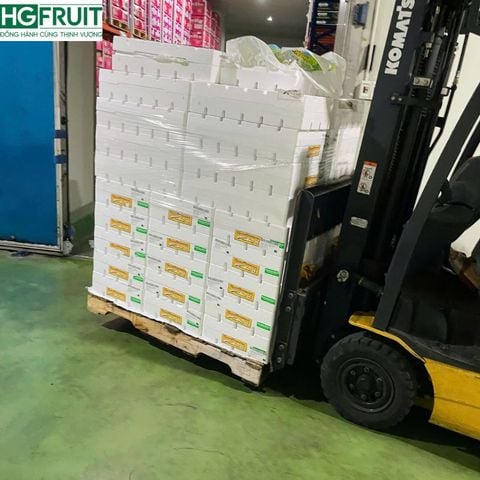  Nho Xanh Không Hạt Mỹ 