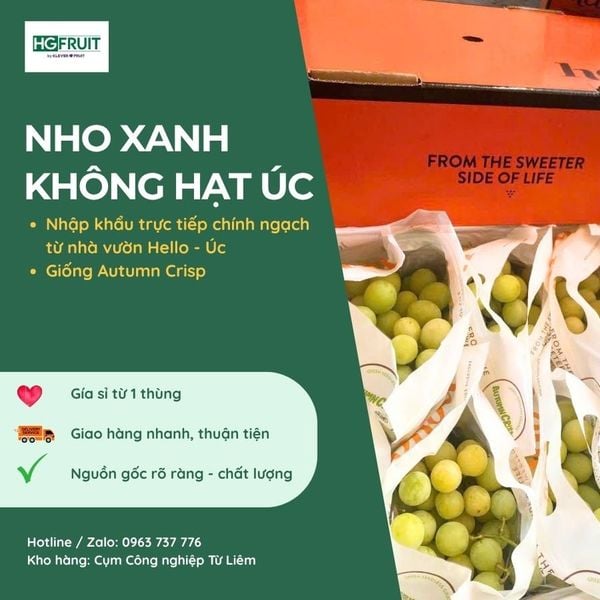 Nho xanh Úc Hello giá sỉ tại Hoàng Giang Fruit