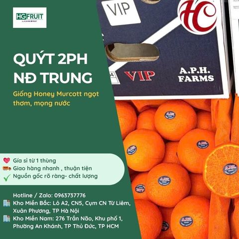  Quýt 2PH Nội Địa Trung 