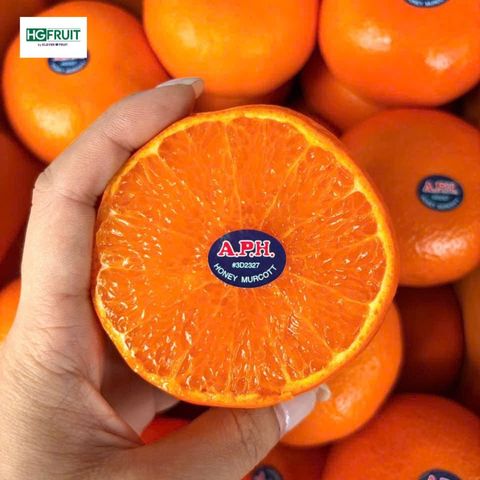  Quýt 2PH Nội Địa Trung 