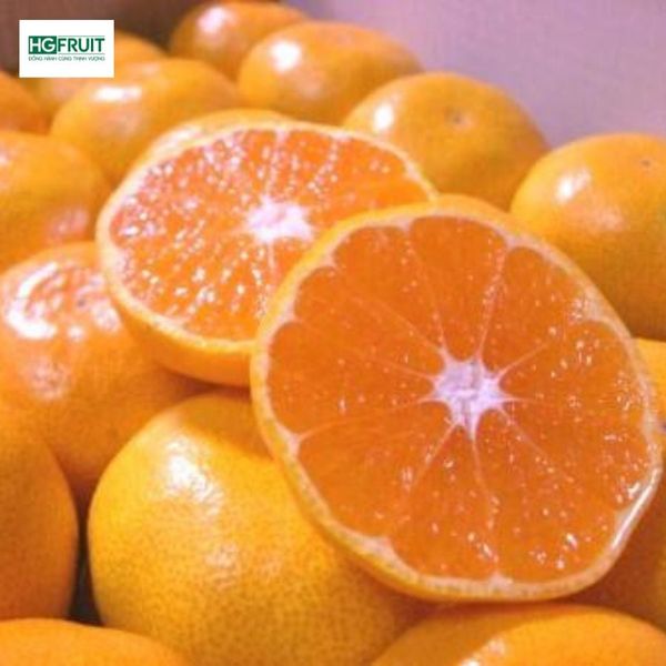 Quýt Fukuoka Nhật Bản nhập khẩu chính ngạch tại Hoàng Giang Fruit