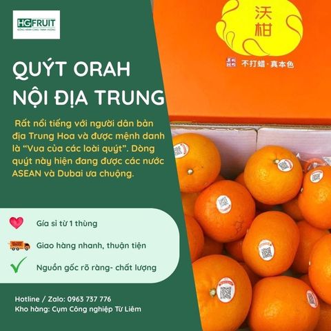  Quýt Orah Nội Địa Trung 