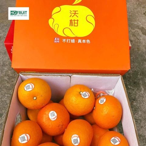  Quýt Orah Nội Địa Trung 