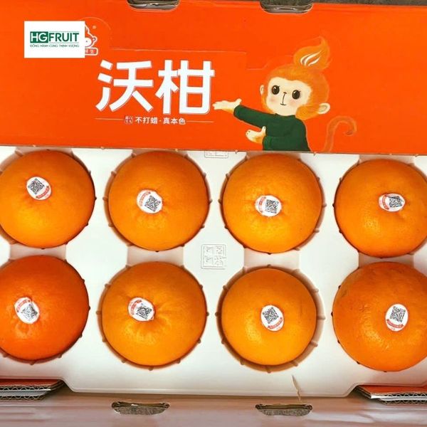  Quýt Orah Nội Địa Trung 
