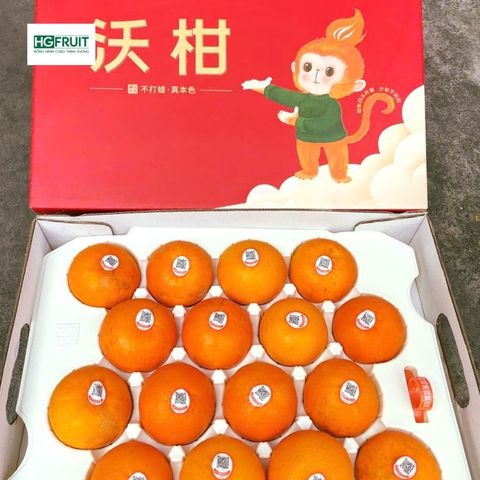  Quýt Orah Nội Địa Trung 