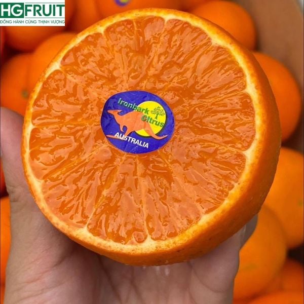 Quýt Úc Ironbark –  Ngọt Mọng Giá Sỉ Tốt Nhất Thị Trường
