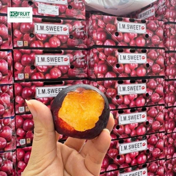 Mận Ruột Vàng Úc giá sỉ tại Hoàng Giang Fruit
