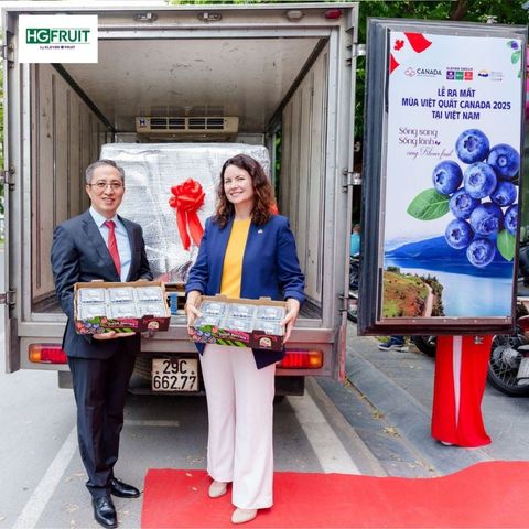  Việt Quất Canada 