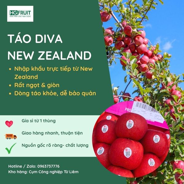 Táo Diva New Zealand Giá Sỉ