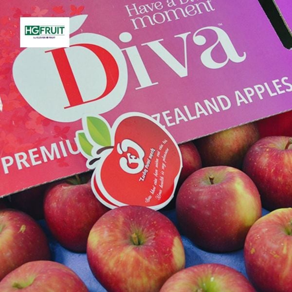 Táo Diva New Zealand Giá Sỉ