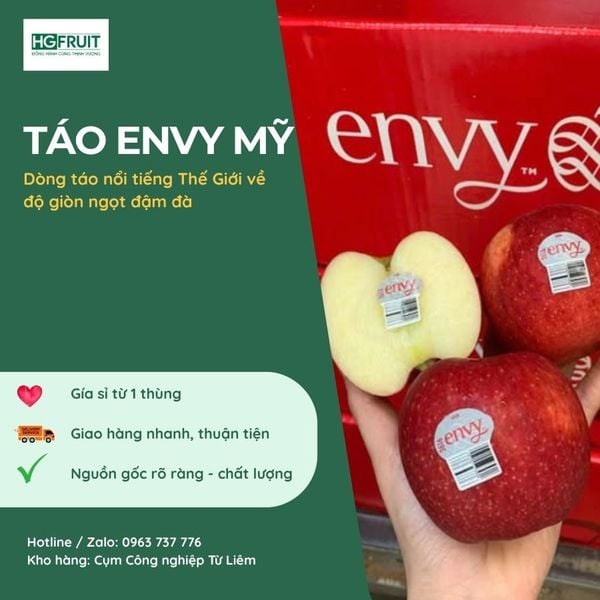 Táo envy mỹ sỉ giá tốt