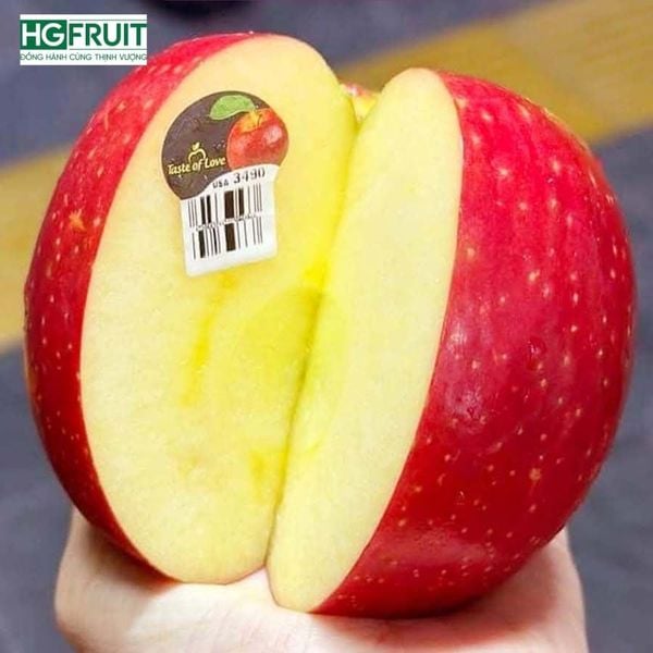 Táo Ever Crisp Mỹ giá sỉ – Nhập khẩu chính ngạch, siêu giòn ngọt