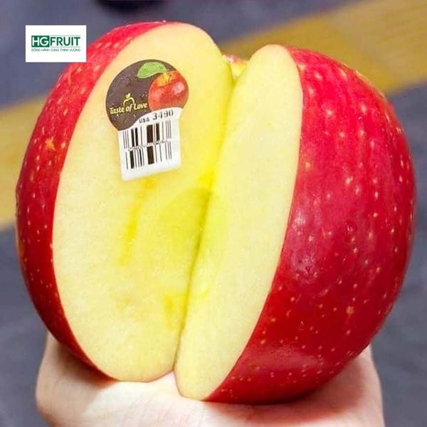 Táo Ever Crisp Mỹ giá sỉ