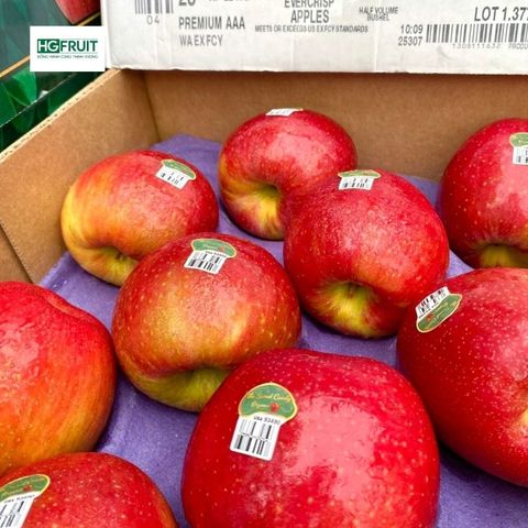  Táo Ever Crisp Organic Mỹ 