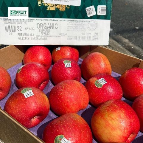  Táo Ever Crisp Organic Mỹ 