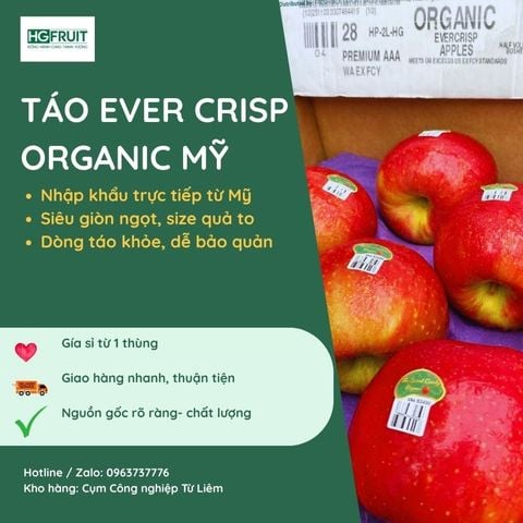  Táo Ever Crisp Organic Mỹ 