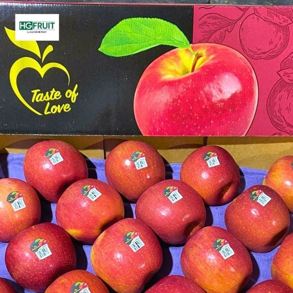 Táo Ever Crisp Mỹ sỉ giá tốt