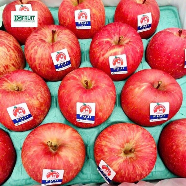Táo Fuji Nhật Bản sỉ Hà Nội