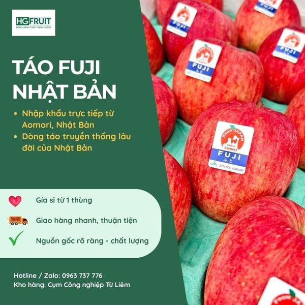 Táo Fuji Nhật Bản sỉ Hà Nội