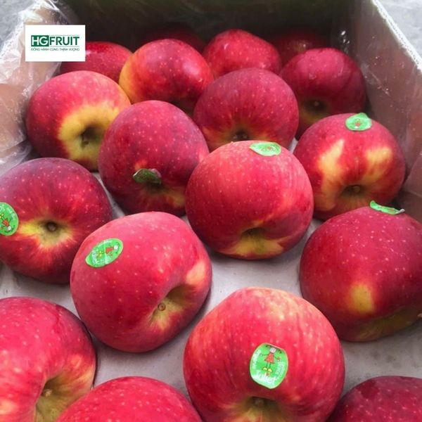 Táo Juliet Organic Pháp