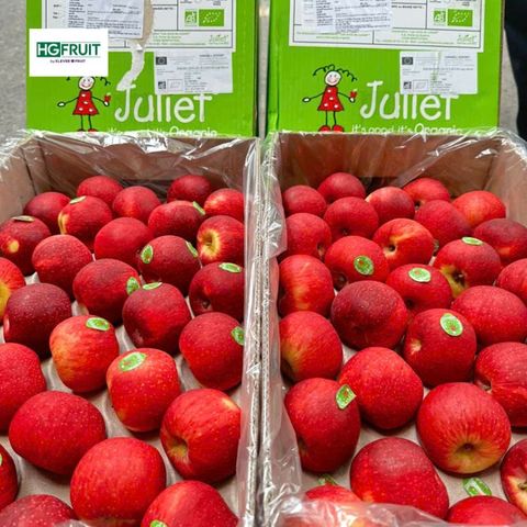  Táo Juliet Organic Pháp - Dòng Táo Hữu Cơ Đầu Tiên Trên Thế Giới 