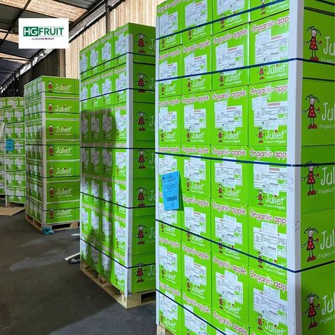  Táo Juliet Organic Pháp - Dòng Táo Hữu Cơ Đầu Tiên Trên Thế Giới 