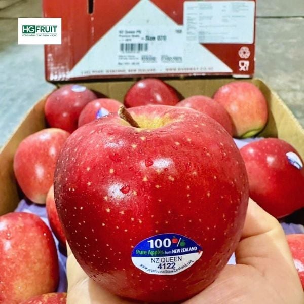 Táo queen sỉ giá tốt tại Hoàng Giang Fruit