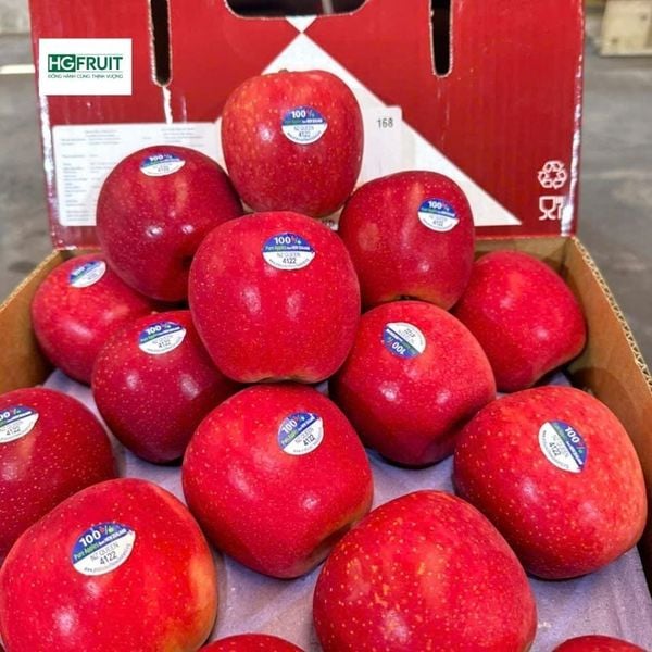 Táo queen sỉ giá tốt tại Hoàng Giang Fruit