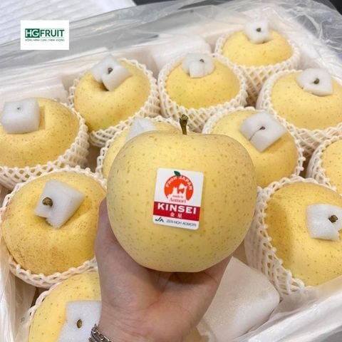  Táo Vàng Kinsei Nhật Bản 