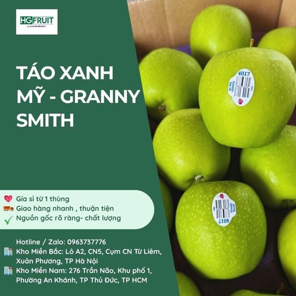 Táo Xanh Mỹ giá sỉ tại Hoàng Giang Fruit