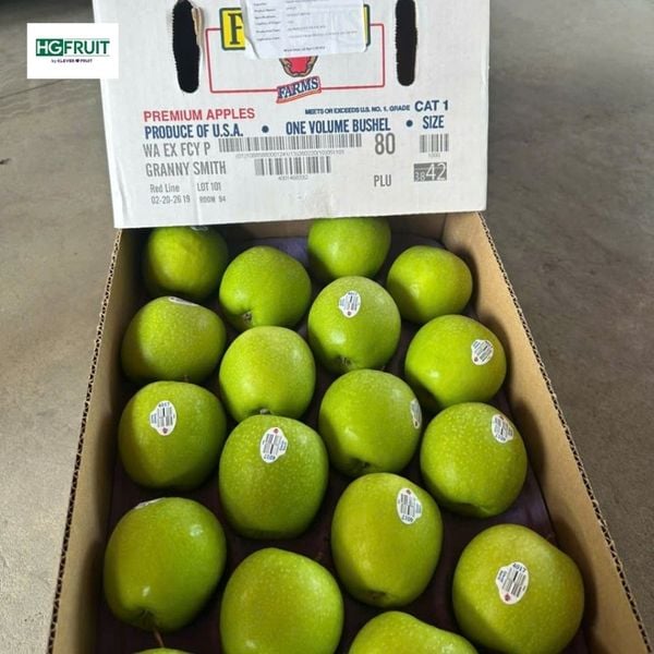 Táo Xanh Mỹ giòn chua thanh, dễ bán