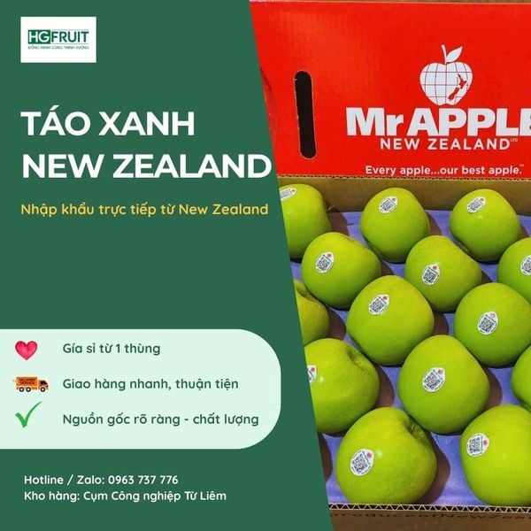 Táo xanh New Zealand Granny Smith giá sỉ tại Hoàng Giang Fruit