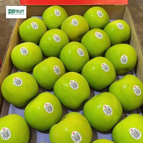  Táo Xanh Granny Smith New Zealand 