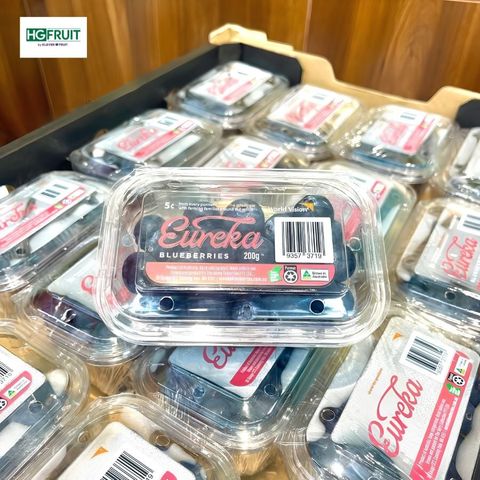  Việt Quất Úc 