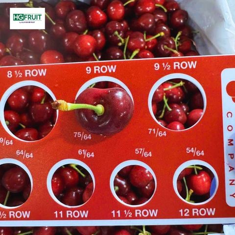  Cherry Mỹ 