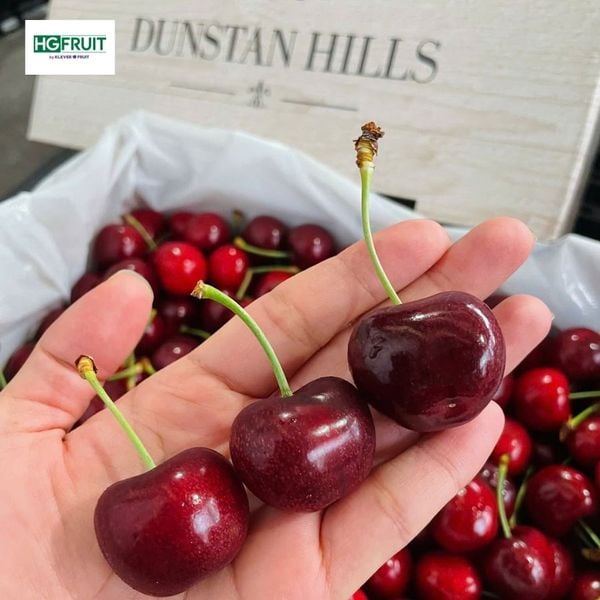 Cherry Dunstan Hills