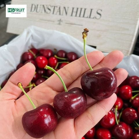  Cherry New Zealand 