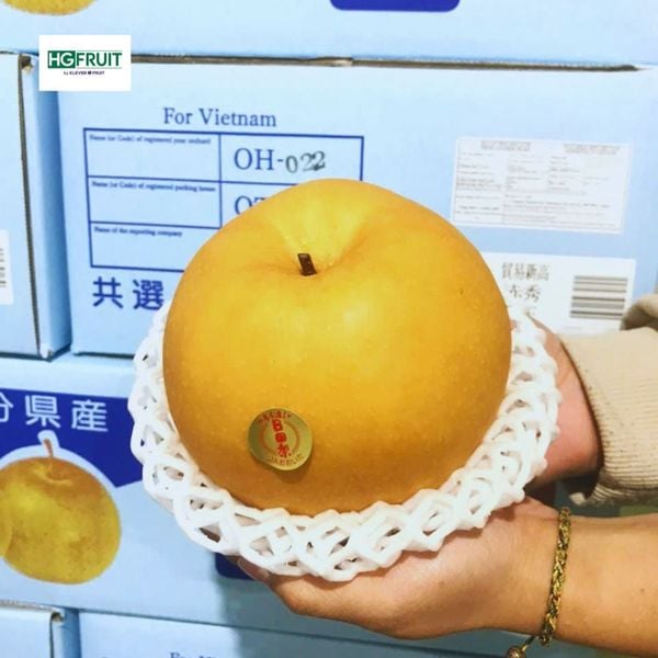 Lê Nhật giá sỉ tại Hoàng Giang Fruit