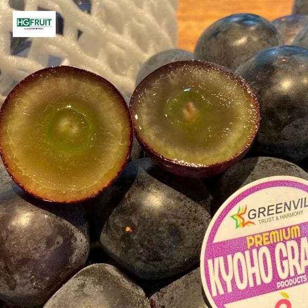 Vườn Nho Rượu Hàn Quốc