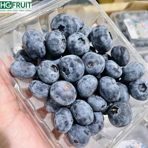  Việt Quất Canada hộp 125 gram 