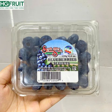  Việt Quất Canada hộp 125 gram 