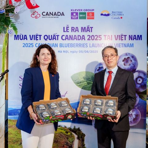  Việt Quất Canada hộp 125 gram 