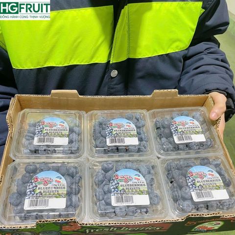  Việt Quất Canada hộp 125 gram 