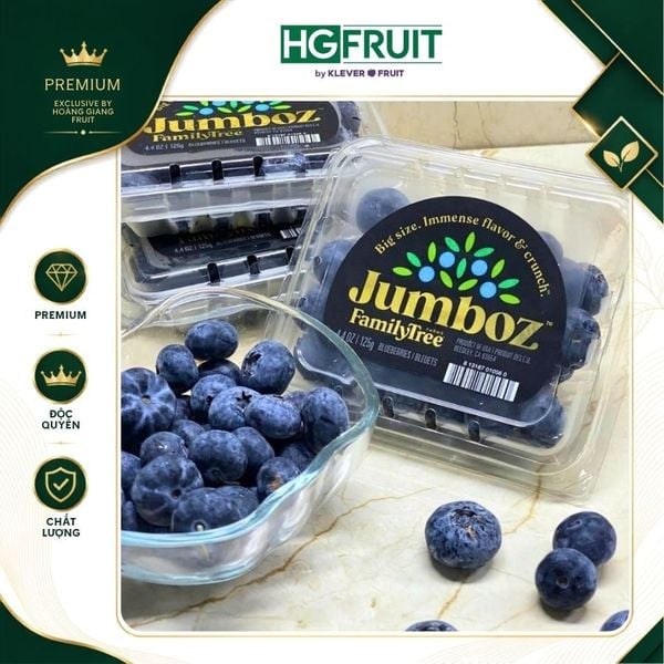việt quất mỹ jumboz family tree cao cấp tại Hoàng Giang Fruit
