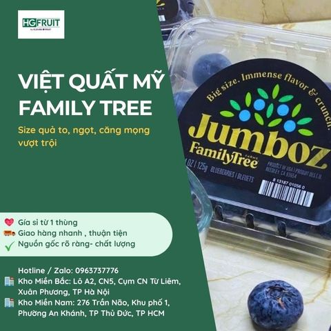 Việt Quất Mỹ Jumboz Family Tree 