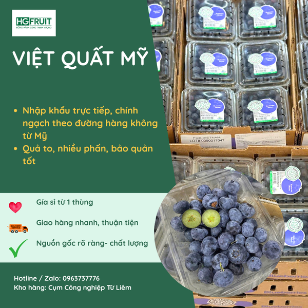 Việt quất Mỹ giá sỉ